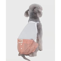 Summer Pants ORANGE