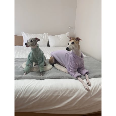 Mochi Fleece Mint