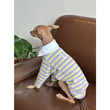Stripe Collar Sweatshirt Orange&Mint