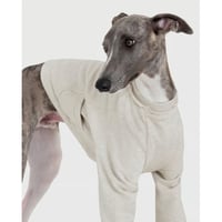 Pocket Point Sweatshirt IVORY MELANGE