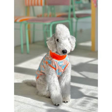 Heart Span Mesh Sleeveless Orange