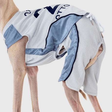 OTTO University Basketball Uniform SET UP SKY