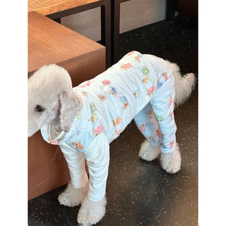 Hamtori Vest