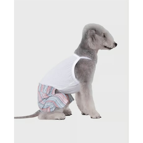 Summer Pants MINT