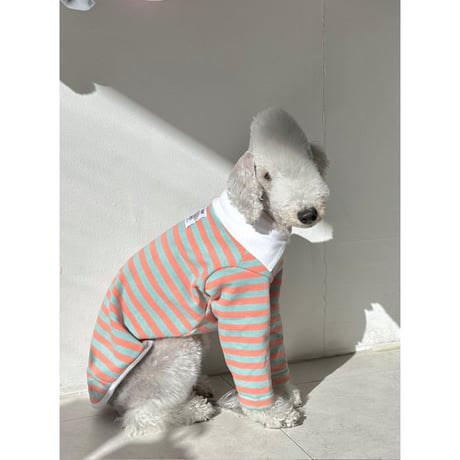 Stripe Collar Sweatshirt Orange&Mint