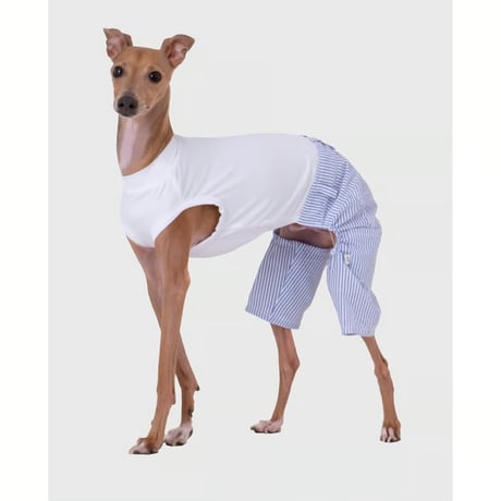 Bermuda Logo Pants