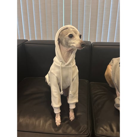 More Long Walks Hoodie White
