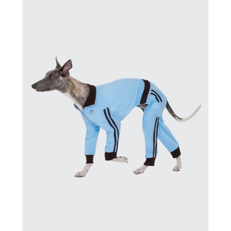 Point Logo Training Jersey Set SKY