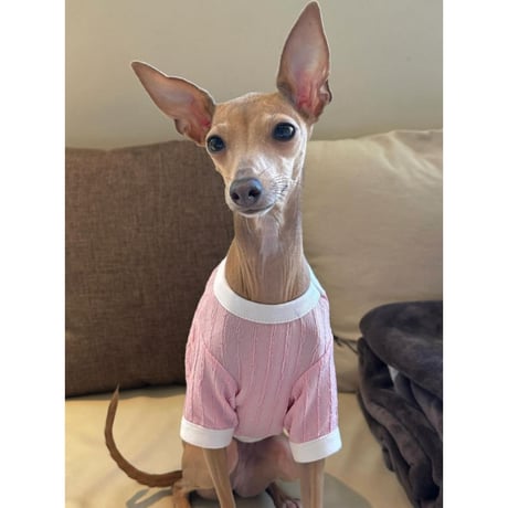 Weaved Cropped Short Sleeve Tshirt Pink