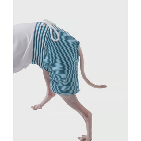 Stripe Mix Half Pants MINT