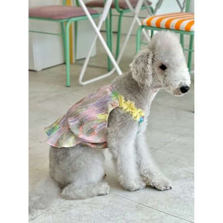 Printed Pleated Frill Dress Yellow