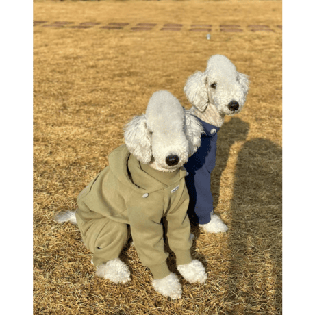 Fleece Hooded Polar All-in-One Olive