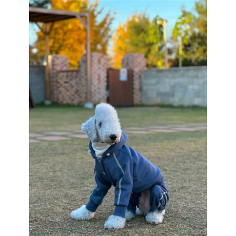 Denim Line Hooded Cropped Length