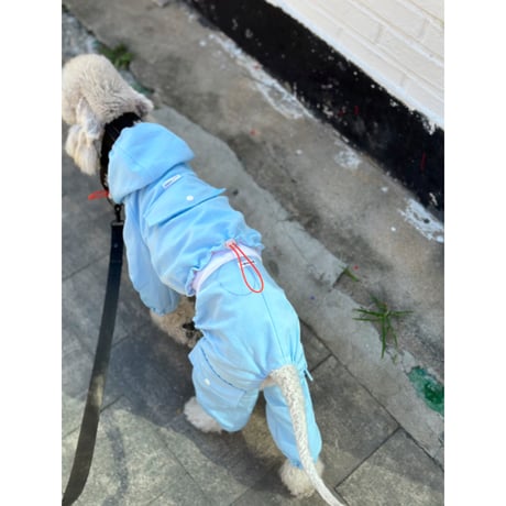 Waterproof Windproof All in one  Blue