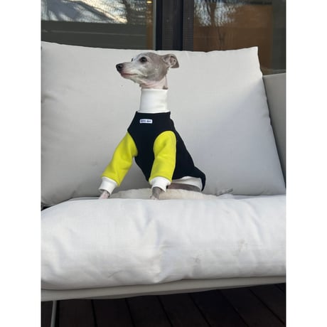 Quilted Color Sweatshirt Black&Lime