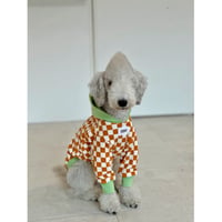 Checkerboard Hoodie Mint