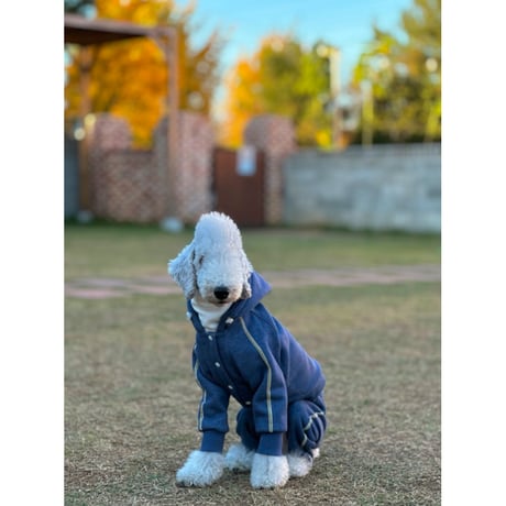Denim Line All in one