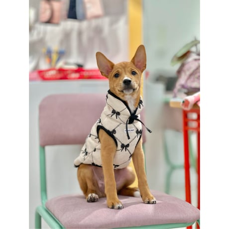 Balletcore Ribbon Vest