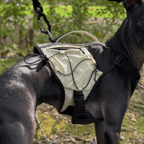MARCHER COSMOS × O.T.C CORTO HARNESS