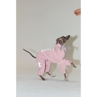 26S/S High Neck Logo All-in-One PINK