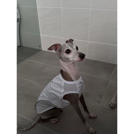 Anti Bug Cool Touch Tank Top WHITE