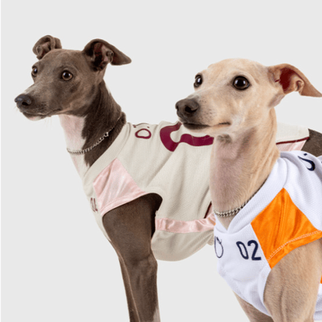 OTTO University Basketball Uniform SET UP WHITE