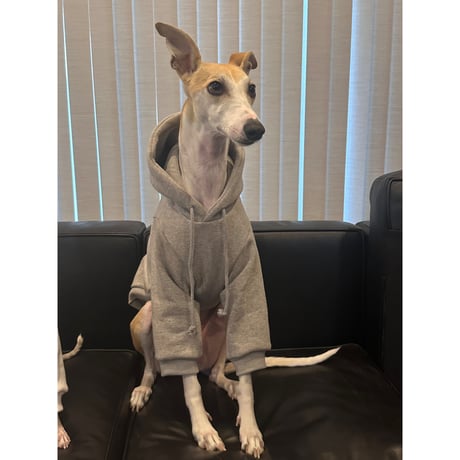 More Long Walks Hoodie Gray