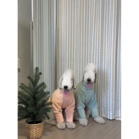 Mochi Fleece Mint