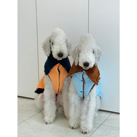 Windbreaker Vest Orange