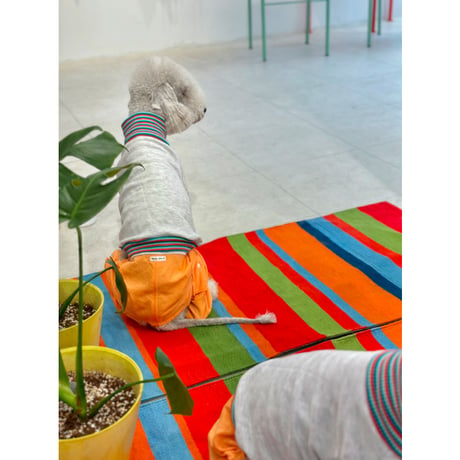 Stripe Sweatshirt Blue&Orange
