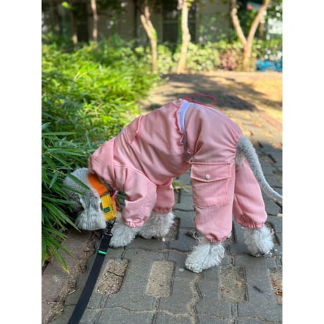 Waterproof Windproof Windbreaker Pink