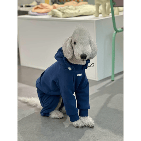 イタグレ服 | STORES