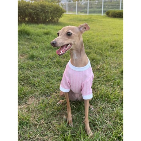 Weaved Cropped Short Sleeve Tshirt Pink