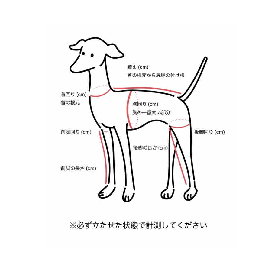68130810e8c4f82fa53e17b6