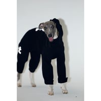 26S/S High Neck Logo All-in-One BLACK