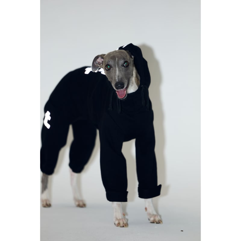mignon select for dog
