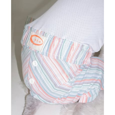Summer Pants MINT