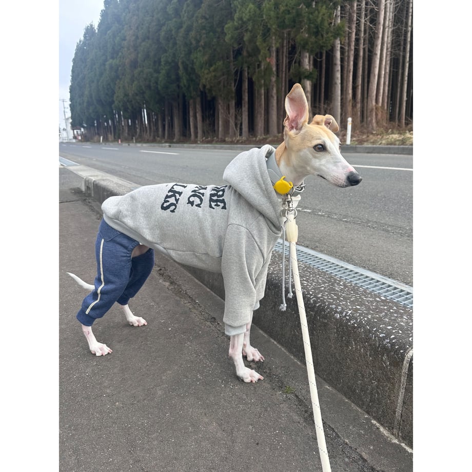 67b0053759de6b28c71af47e