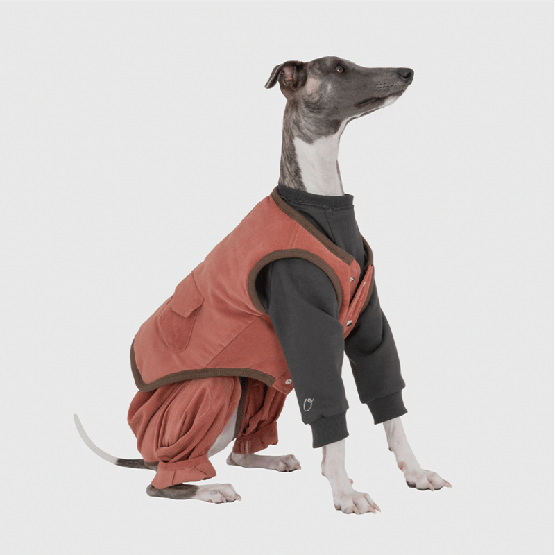 CATEGORY Other | mignon select for dog