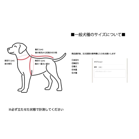 Stripe Collar Sweatshirt Purple＆Green
