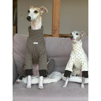Polka Dot Quilted All in one Charcoal Gray