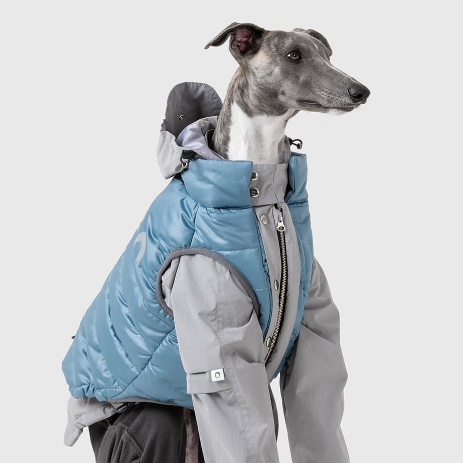 689c066e7110b2004ca6fbf5