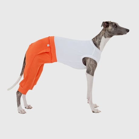 Block Pants ORANGE