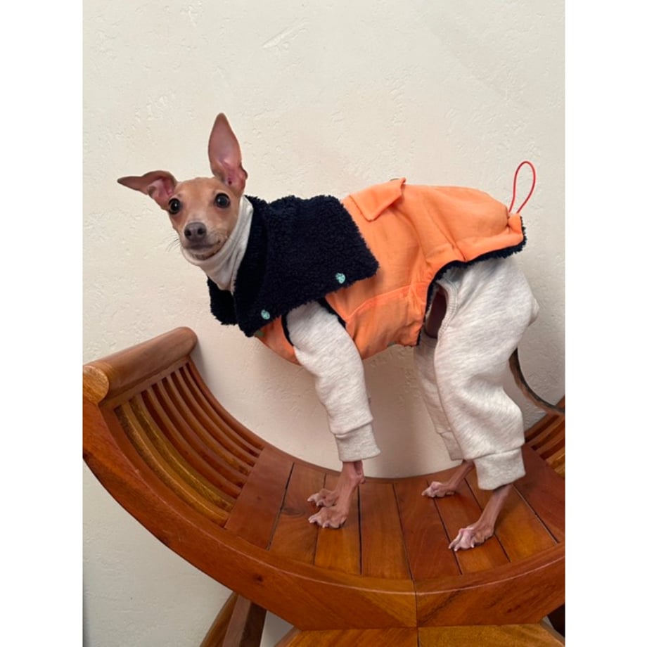 67b2c90a7c149e030c102891