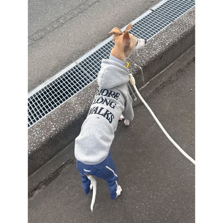 More Long Walks Hoodie Gray