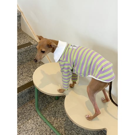 Stripe Collar Sweatshirt Purple＆Green