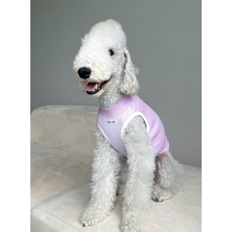 Waffle Knit 4Colors Purple