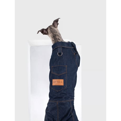Point Logo Denim All-in-One