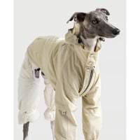 Pintuck Sleeve Jacket IVORY