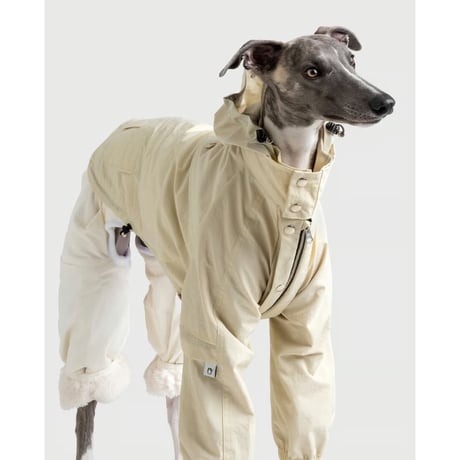 イタグレ服 | STORES